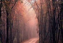 鲸鱼体育:亚马尔:还没和拉菲尼亚谈过金球奖的事;会时刻牢记脚踏实地.