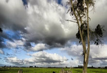 鲸鱼体育：[天下足球]勒沃库森继续领跑德甲.