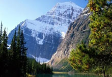 鲸鱼体育:基耶萨打门被扑,杰登-丹斯补射破门,利物浦3-0领先.