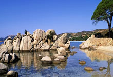 鲸鱼体育:福原爱获“中日友好特别奖”锦观新闻.